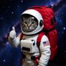 Izzy's profile picture