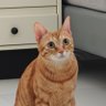 Daaihang profil fotoğrafı