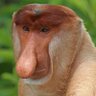Wil's profile picture