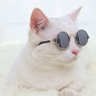 Wandering Soul's profile picture