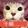 Profilbild von 陆摆