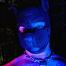Profilbild von PAWSLUT