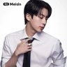 Profilbild von BTS JIN Falling