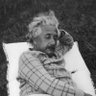 Profilbild von nova