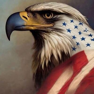 skillz17q's profile picture