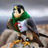 Bilo's profile picture