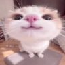 Jon's profile picture