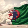 Фото профиля Chaoui Amazigh ⵣ