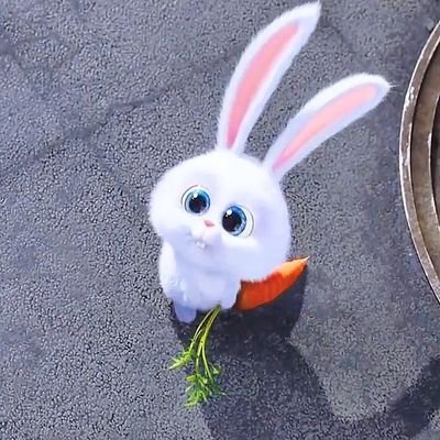 TheRubric_Medic's profile picture