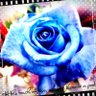 唯來's profile picture