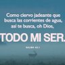 David Murillo Davomur 的头像