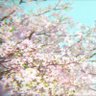 晚安ice's profile picture