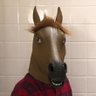 Фото профиля 🐴Creed🐯
