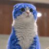 Фото профиля あおねこ