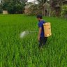 কীটনাশক profil fotoğrafı
