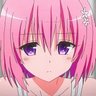 Profilbild von Never love