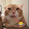 kimci profil fotoğrafı