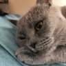 Oguz's profile picture