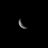Lune🌘's profile picture