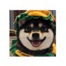 渴望's profile picture
