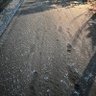 Фото профиля かゆに　ベースがああああ