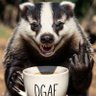 Belligerent Badger 的头像