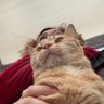 Profilbild von nur