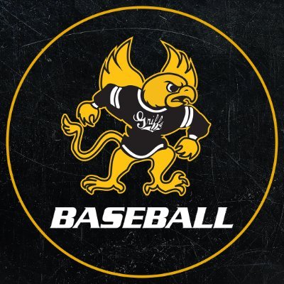 MWSUbaseball's profile picture