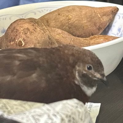 あ's profile picture