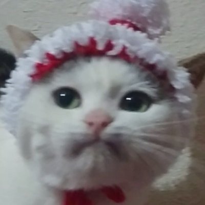 Gülçen's profile picture