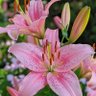 Фото профиля Phumile