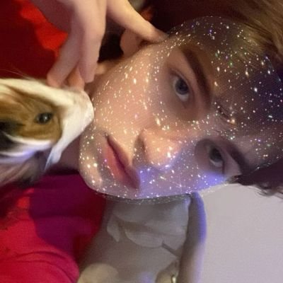 نت's profile picture