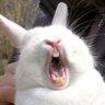 Ty Cardwell's profile picture