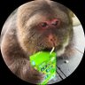 Profilbild von Jen
