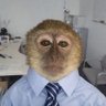 Profilbild von LordBK
