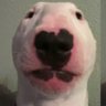 cassio's profile picture