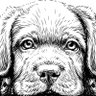 jim h hess's profile picture