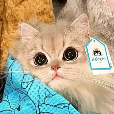 ZERO's profile picture