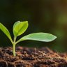 Profilbild von Grow Better