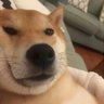 YiMing Wu's profile picture