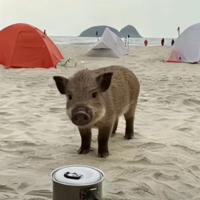 greytearabbit's profile picture