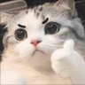 Profilbild von suzone🐱🐼