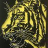 +🐯 的头像