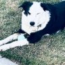 Profilbild von Sassi🤫