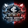Фото профиля C.A.W