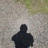 NyambatGaming! profil fotoğrafı