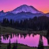 Naturevibe profil fotoğrafı