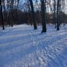 Фото профиля Aris 