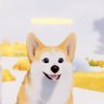 huangjia2026's profile picture
