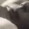 S. Eghbal profil fotoğrafı
